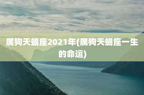 属狗天蝎座2021年(属狗天蝎座一生的命运)