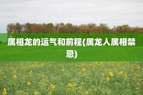 属相龙的运气和前程(属龙人属相禁忌)