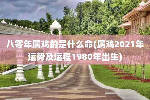 八零年属鸡的是什么命(属鸡2021年运势及运程1980年出生)