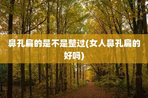 鼻孔扁的是不是整过(女人鼻孔扁的好吗)