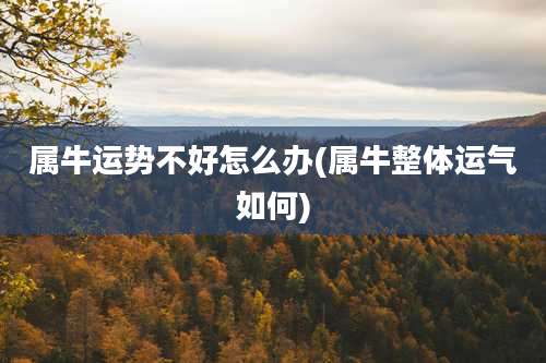 属牛运势不好怎么办(属牛整体运气如何)