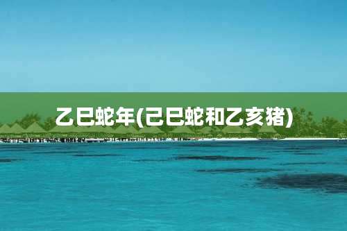 乙巳蛇年(己巳蛇和乙亥猪)
