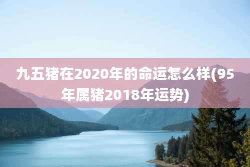 九五猪在2020年的命运怎么样(95年属猪2018年运势)