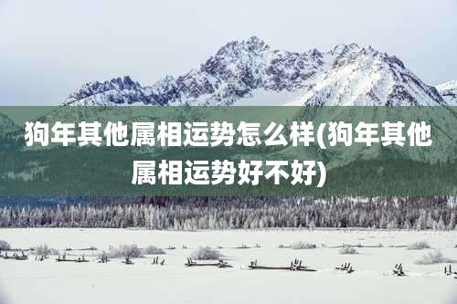狗年其他属相运势怎么样(狗年其他属相运势好不好)