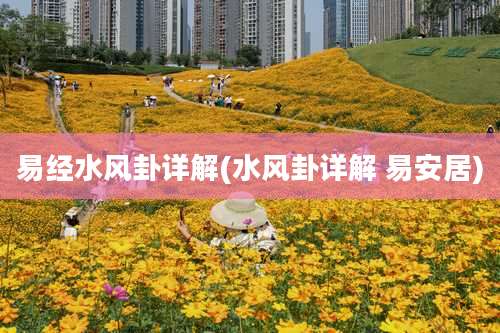 易经水风卦详解(水风卦详解 易安居)