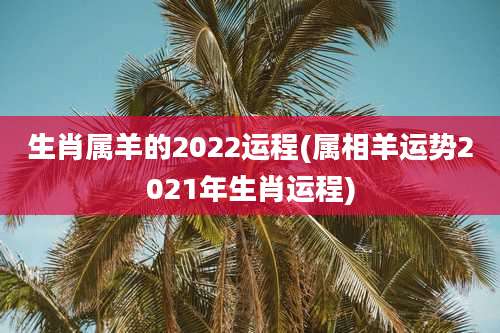 生肖属羊的2022运程(属相羊运势2021年生肖运程)