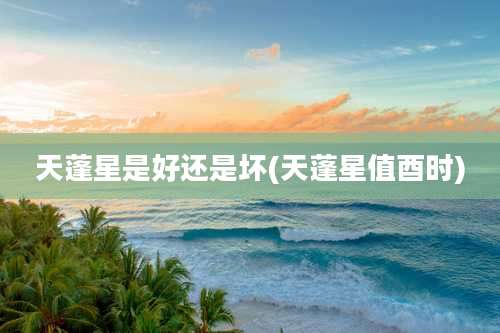 天蓬星是好还是坏(天蓬星值酉时)