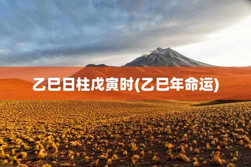 乙巳日柱戊寅时(乙巳年命运)