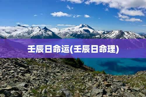 壬辰日命运(壬辰日命理)