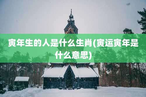 寅年生的人是什么生肖(寅运寅年是什么意思)