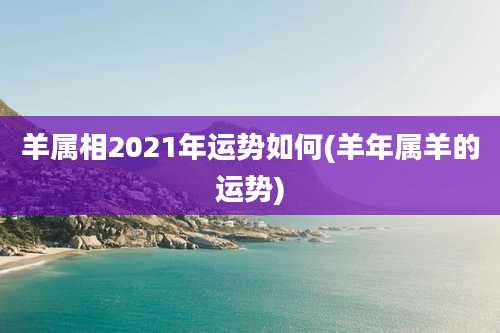 羊属相2021年运势如何(羊年属羊的运势)