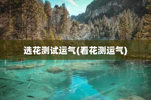 选花测试运气(看花测运气)