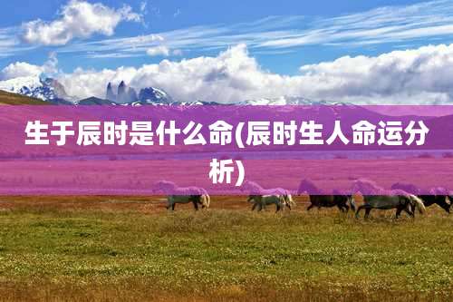 生于辰时是什么命(辰时生人命运分析)