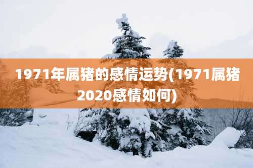 1971年属猪的感情运势(1971属猪2020感情如何)
