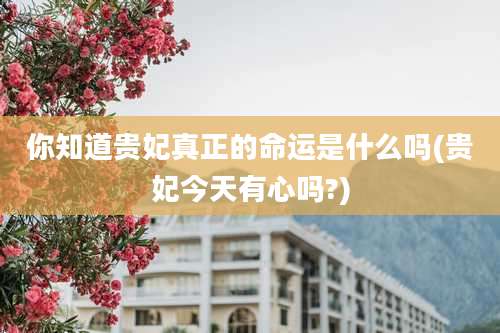 你知道贵妃真正的命运是什么吗(贵妃今天有心吗?)