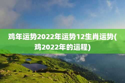 鸡年运势2022年运势12生肖运势(鸡2022年的运程)