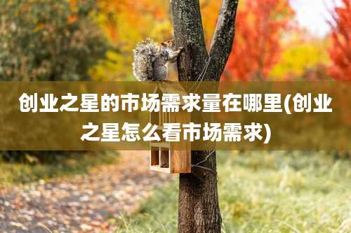 创业之星的市场需求量在哪里(创业之星怎么看市场需求)