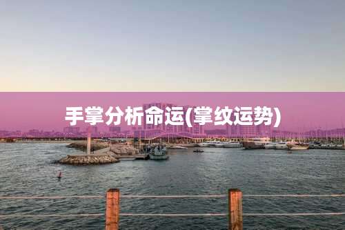 手掌分析命运(掌纹运势)