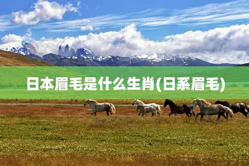 日本眉毛是什么生肖(日系眉毛)