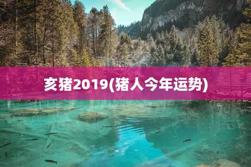 亥猪2019(猪人今年运势)