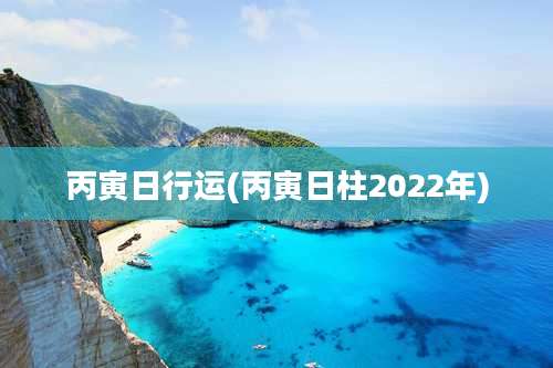 丙寅日行运(丙寅日柱2022年)