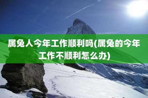 属兔人今年工作顺利吗(属兔的今年工作不顺利怎么办)