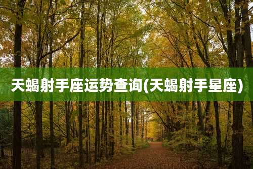 天蝎射手座运势查询(天蝎射手星座)