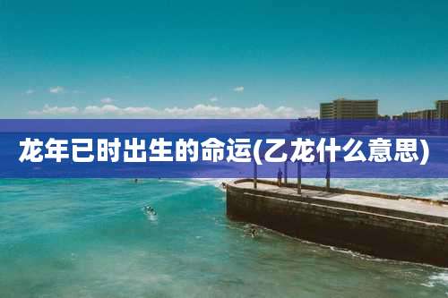 龙年已时出生的命运(乙龙什么意思)