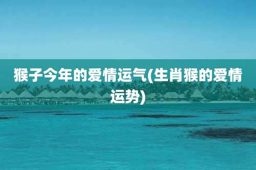 猴子今年的爱情运气(生肖猴的爱情运势)
