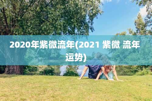 2020年紫微流年(2021 紫微 流年 运势)