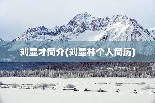 刘显才简介(刘显林个人简历)