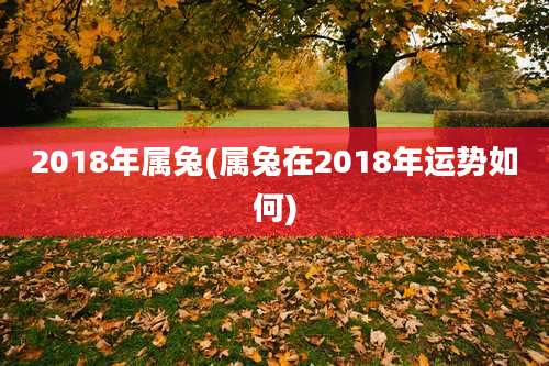 2018年属兔(属兔在2018年运势如何)