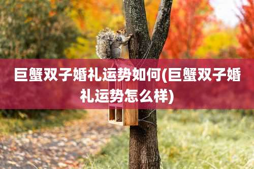 巨蟹双子婚礼运势如何(巨蟹双子婚礼运势怎么样)