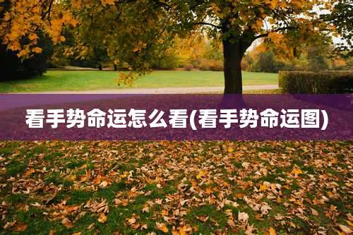 看手势命运怎么看(看手势命运图)