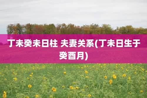 丁未癸未日柱 夫妻关系(丁未日生于癸酉月)