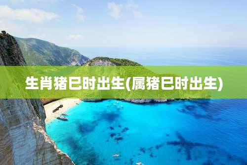 生肖猪巳时出生(属猪巳时出生)