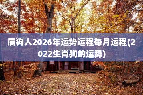 属狗人2026年运势运程每月运程(2022生肖狗的运势)