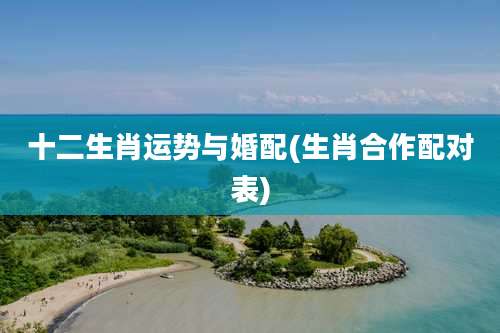 十二生肖运势与婚配(生肖合作配对表)
