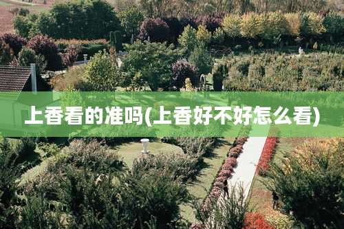 上香看的准吗(上香好不好怎么看)