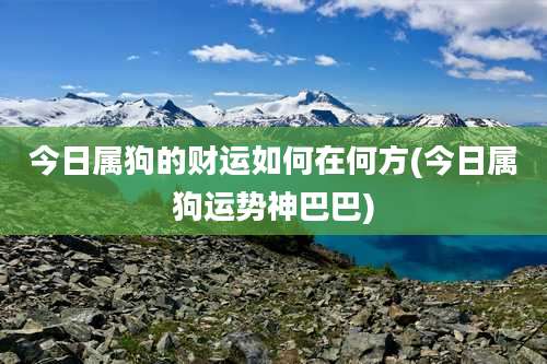 今日属狗的财运如何在何方(今日属狗运势神巴巴)