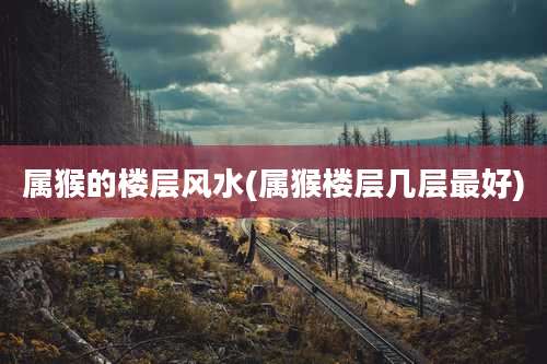 属猴的楼层风水(属猴楼层几层最好)