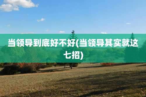 当领导到底好不好(当领导其实就这七招)