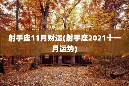 射手座11月财运(射手座2021十一月运势)