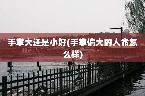 手掌大还是小好(手掌偏大的人命怎么样)