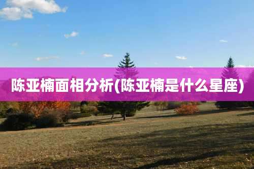 陈亚楠面相分析(陈亚楠是什么星座)