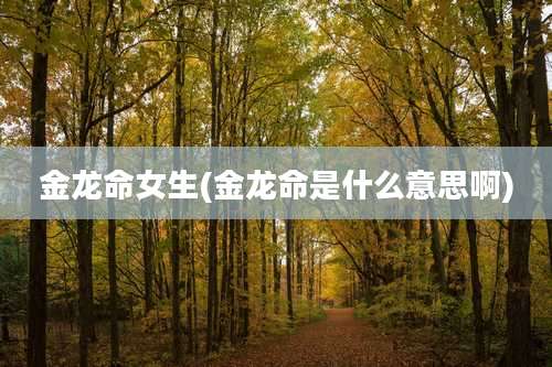 金龙命女生(金龙命是什么意思啊)