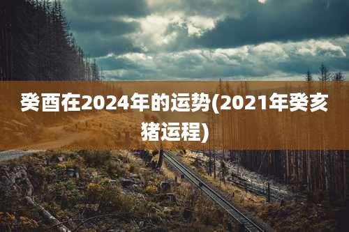 癸酉在2024年的运势(2021年癸亥猪运程)