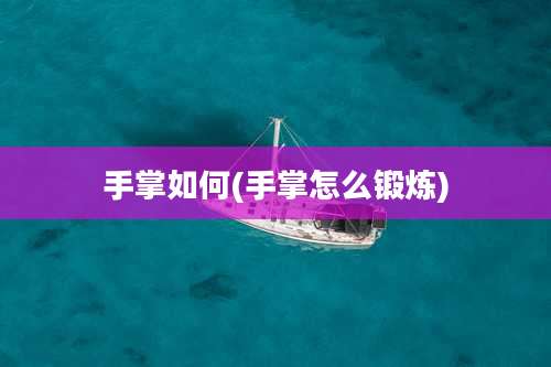 手掌如何(手掌怎么锻炼)