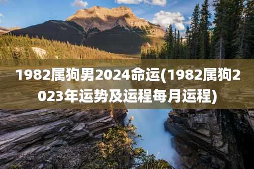 1982属狗男2024命运(1982属狗2023年运势及运程每月运程)