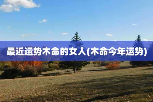 最近运势木命的女人(木命今年运势)